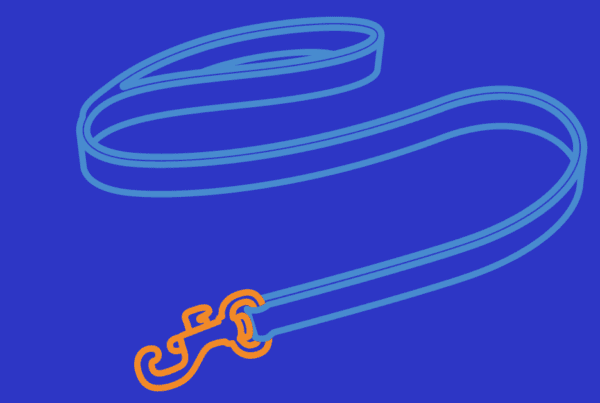 Line drawing of a dog's leash. Leash is light blue with an orange clasp. Background is dark blue.